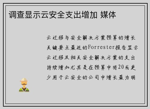 调查显示云安全支出增加 媒体