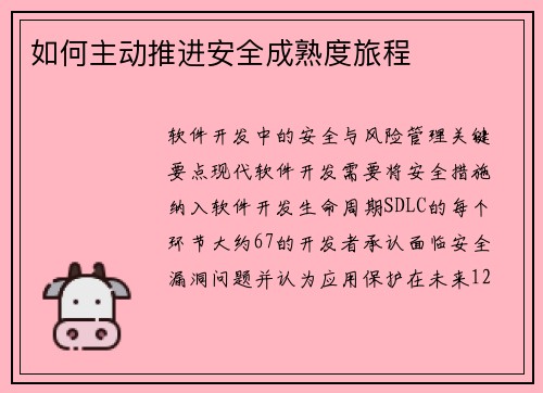 如何主动推进安全成熟度旅程 